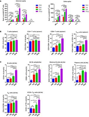 SARS-CoV-2 bivalent mRNA vaccine with broad protection against variants of concern